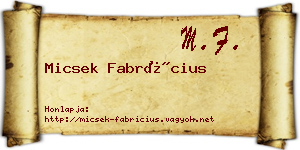 Micsek Fabrícius névjegykártya